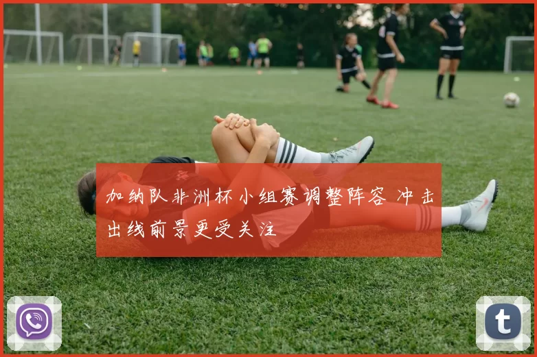 加纳队非洲杯小组赛调整阵容 冲击出线前景更受关注