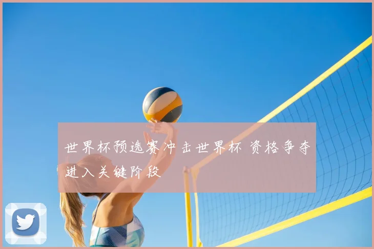 世界杯预选赛冲击世界杯 资格争夺进入关键阶段