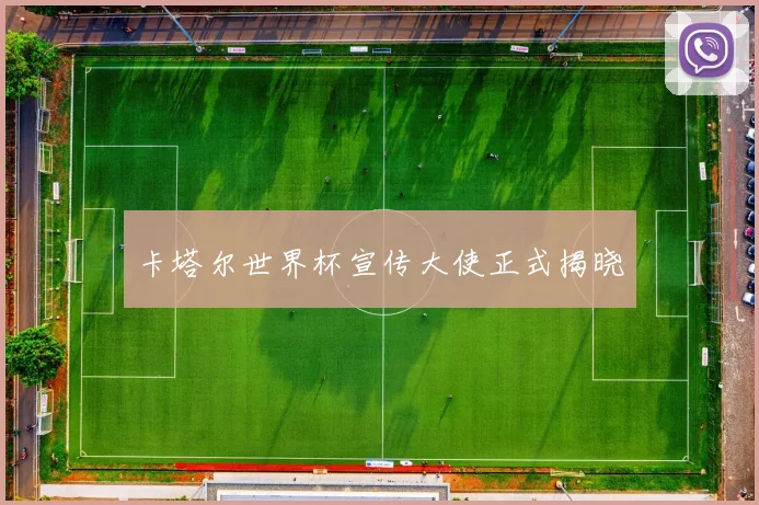 卡塔尔世界杯宣传大使正式揭晓