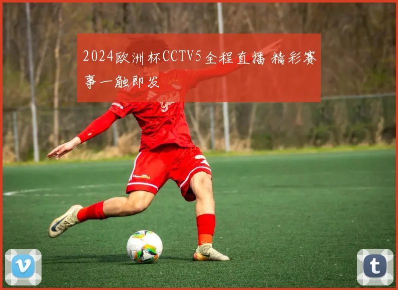 2024欧洲杯CCTV5全程直播 精彩赛事一触即发