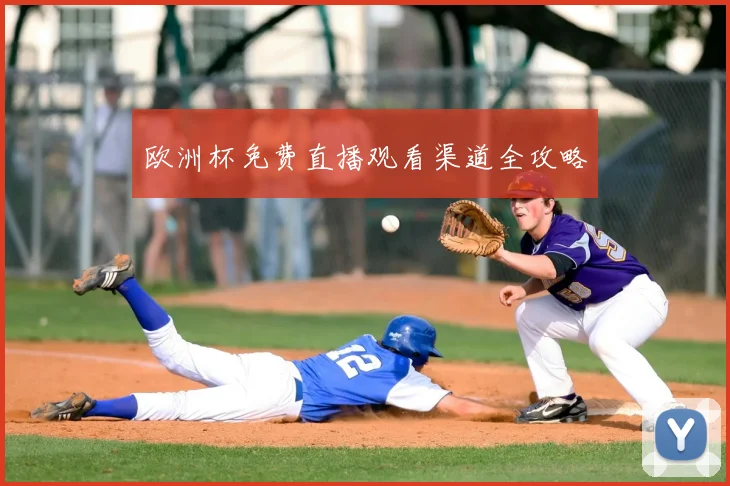 欧洲杯免费直播观看渠道全攻略