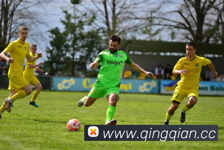 多媒体互动体验